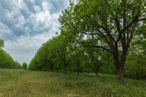 141 Pecan Bayou Lane Brownwood TX 76801