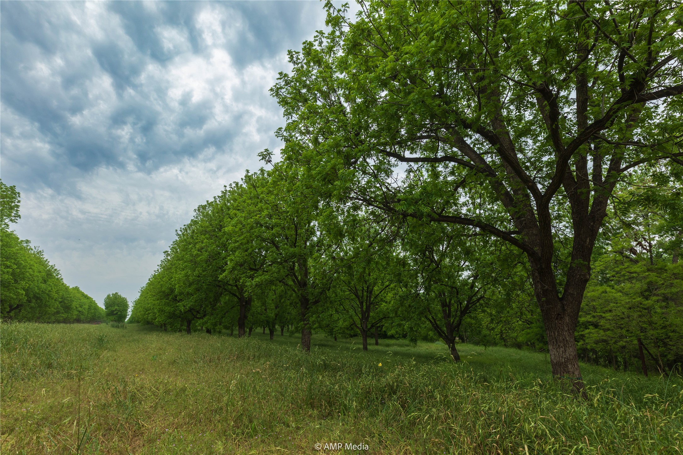 141 Pecan Bayou Lane Brownwood TX 76801