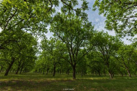141 Pecan Bayou Lane Brownwood TX 76801