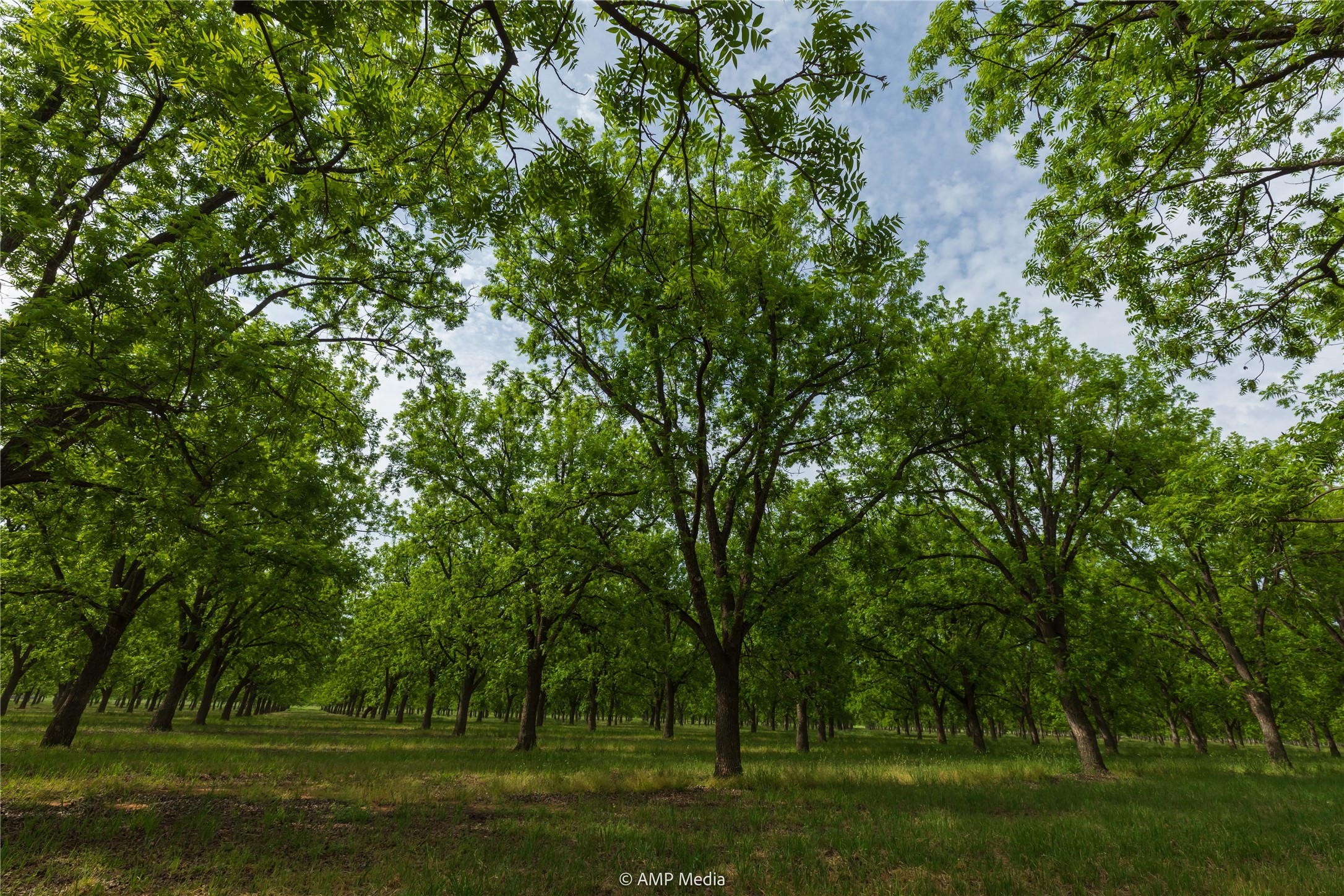 141 Pecan Bayou Lane Brownwood TX 76801