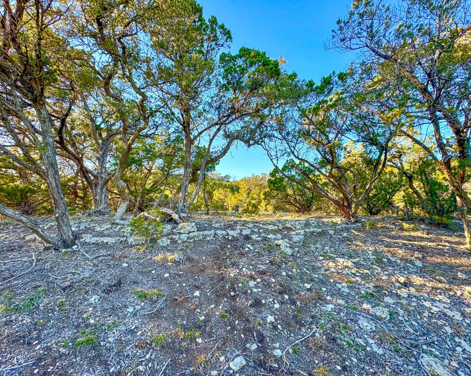 3600 Mount Sharp Road Wimberley TX 78676