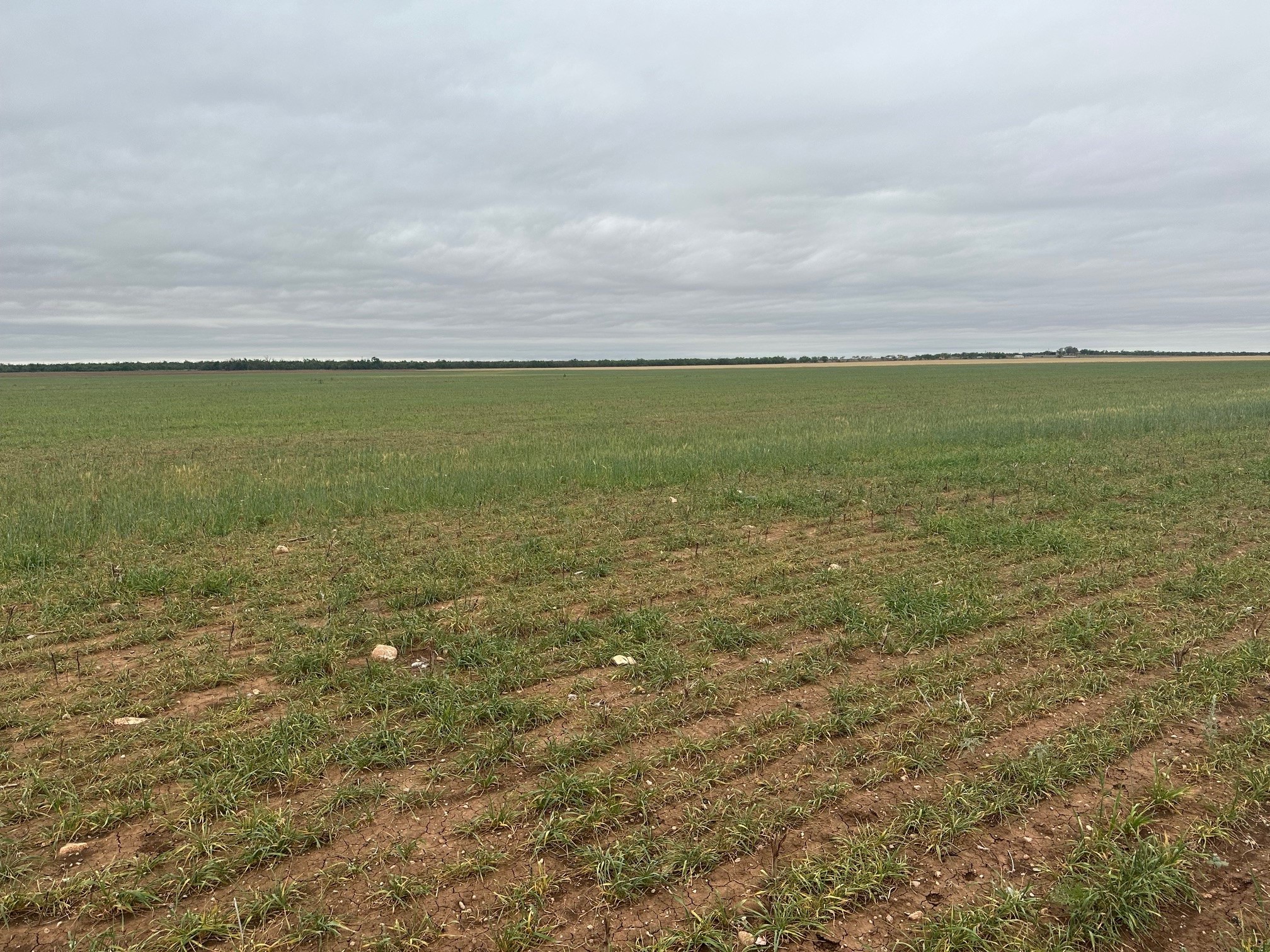 Tbd Fm126 ( Tract 1 ) Merkel TX 79536