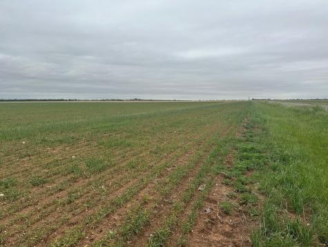 TBD FM126 ( Tract 1 ) Merkel TX 79536