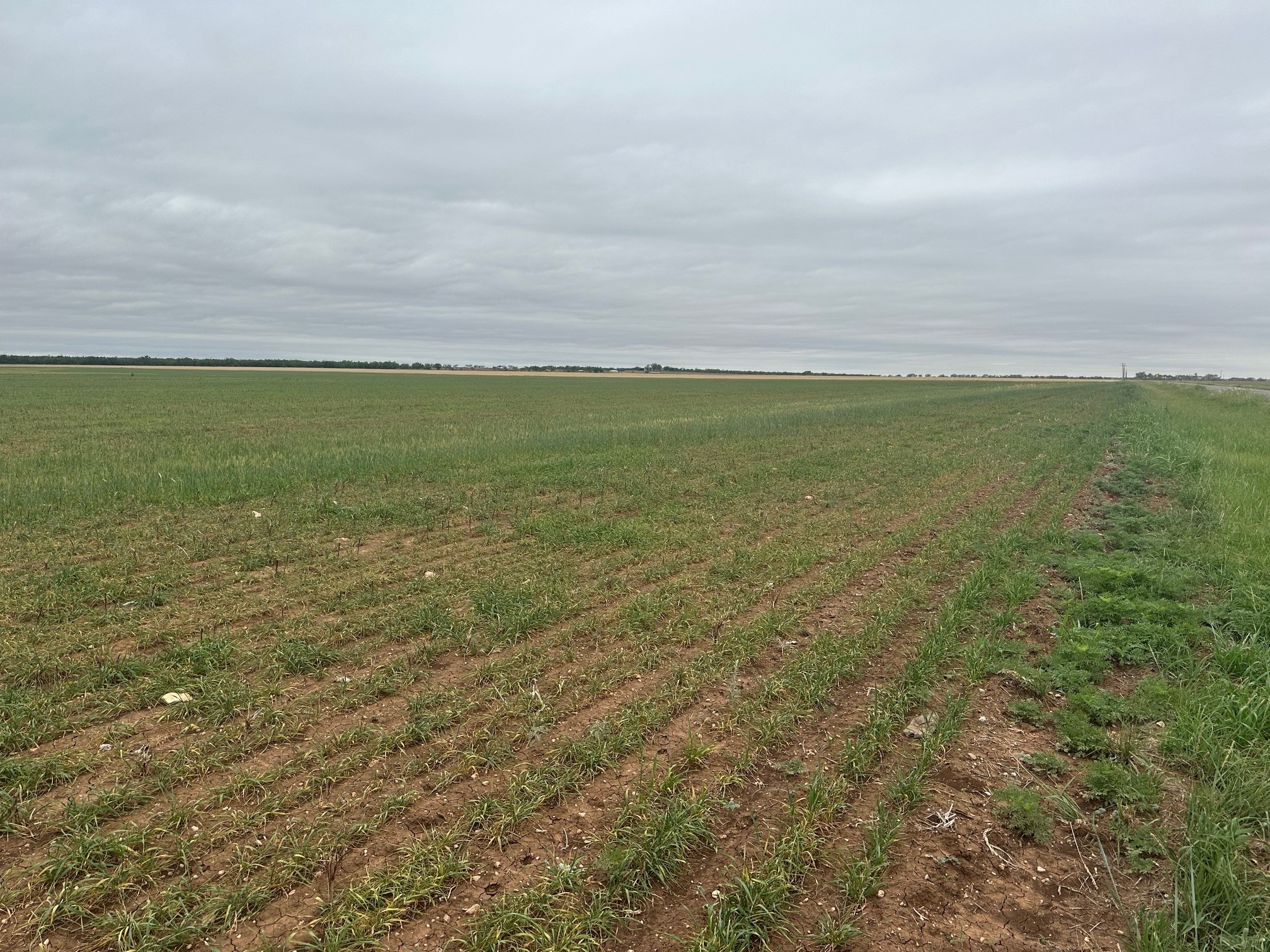 Tbd Fm126 ( Tract 1 ) Merkel TX 79536