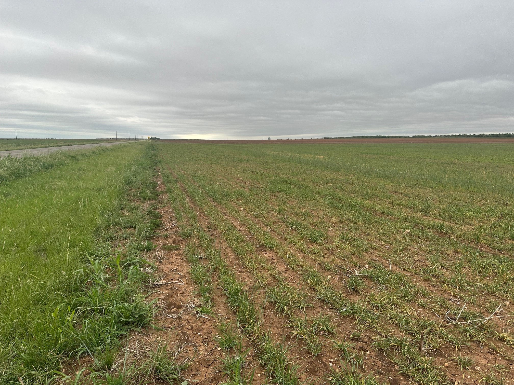 Tbd Fm126 ( Tract 1 ) Merkel TX 79536