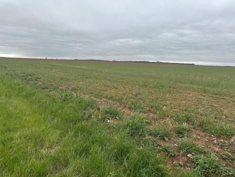 TBD FM126 ( Tract 1 ) Merkel TX 79536