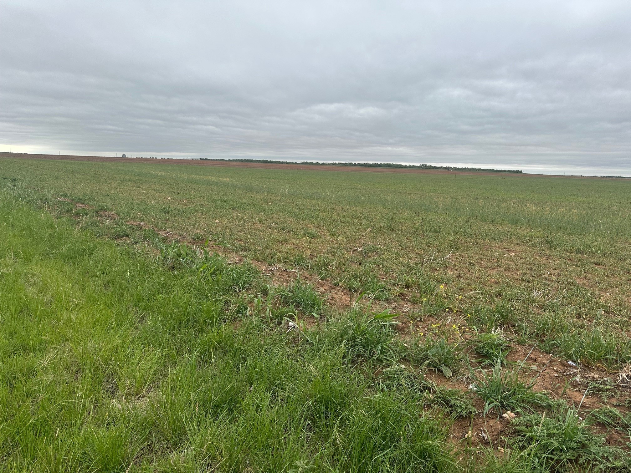 Tbd Fm126 ( Tract 1 ) Merkel TX 79536