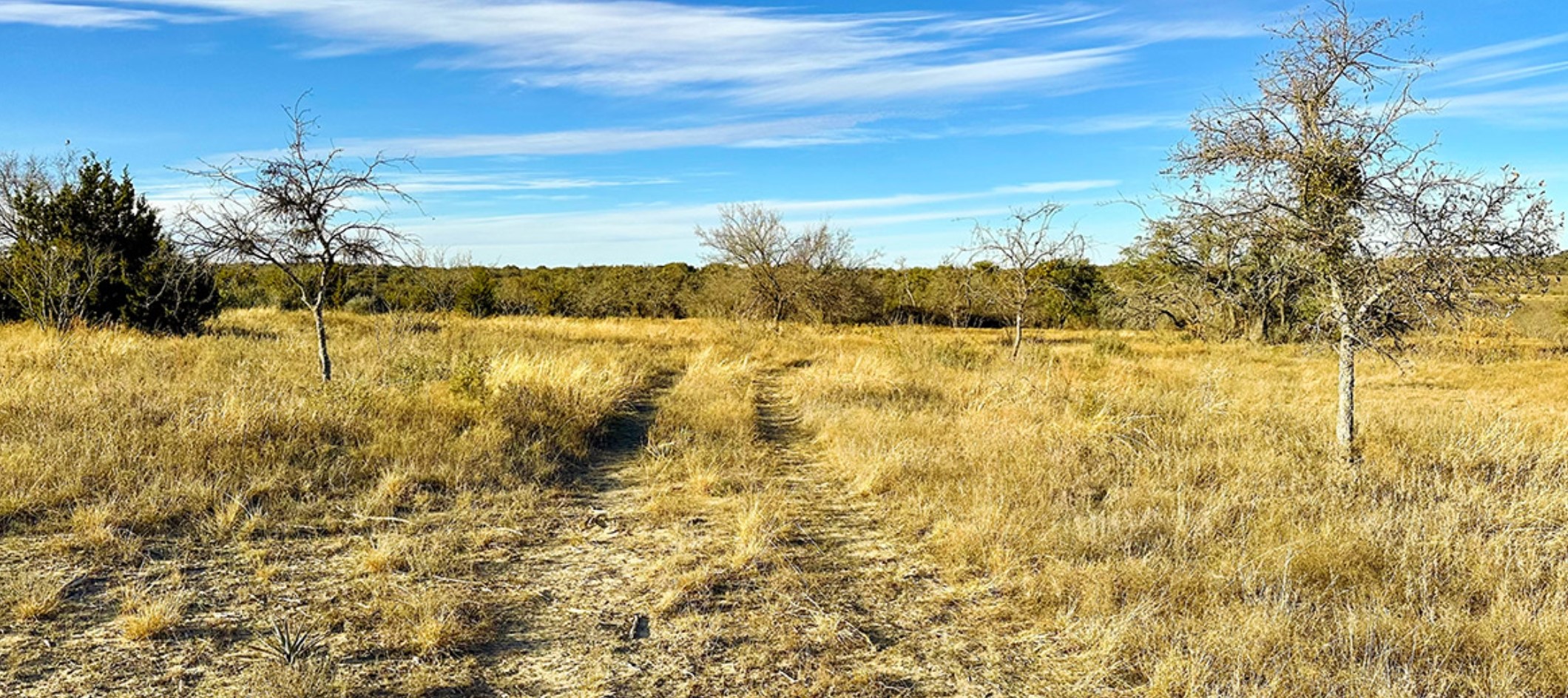 000 Tract 19, 165 County Road Sidney TX 76474