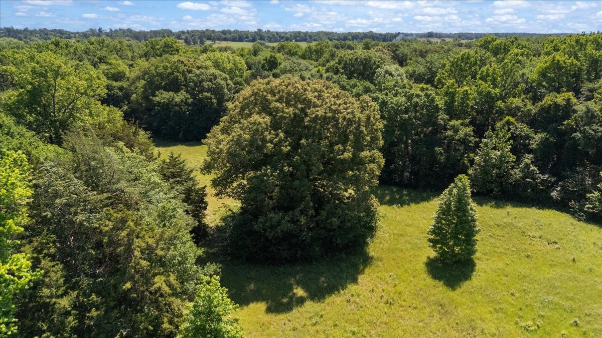 Tbd County Road 2395 Winnsboro TX 75494