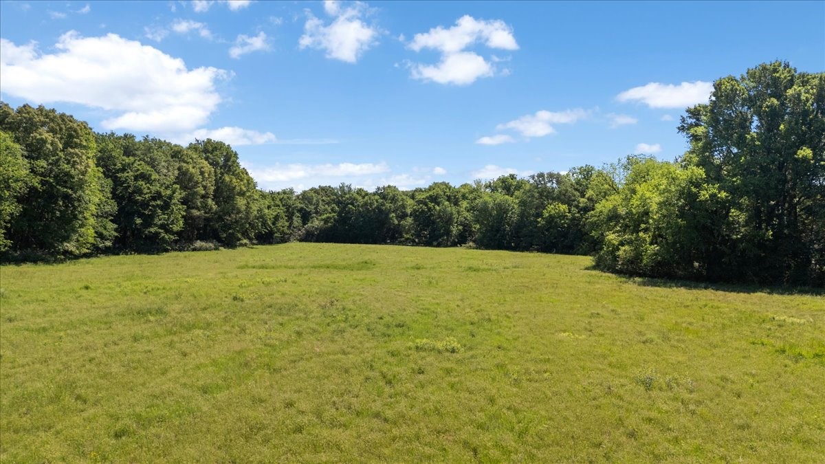 Tbd County Road 2395 Winnsboro TX 75494