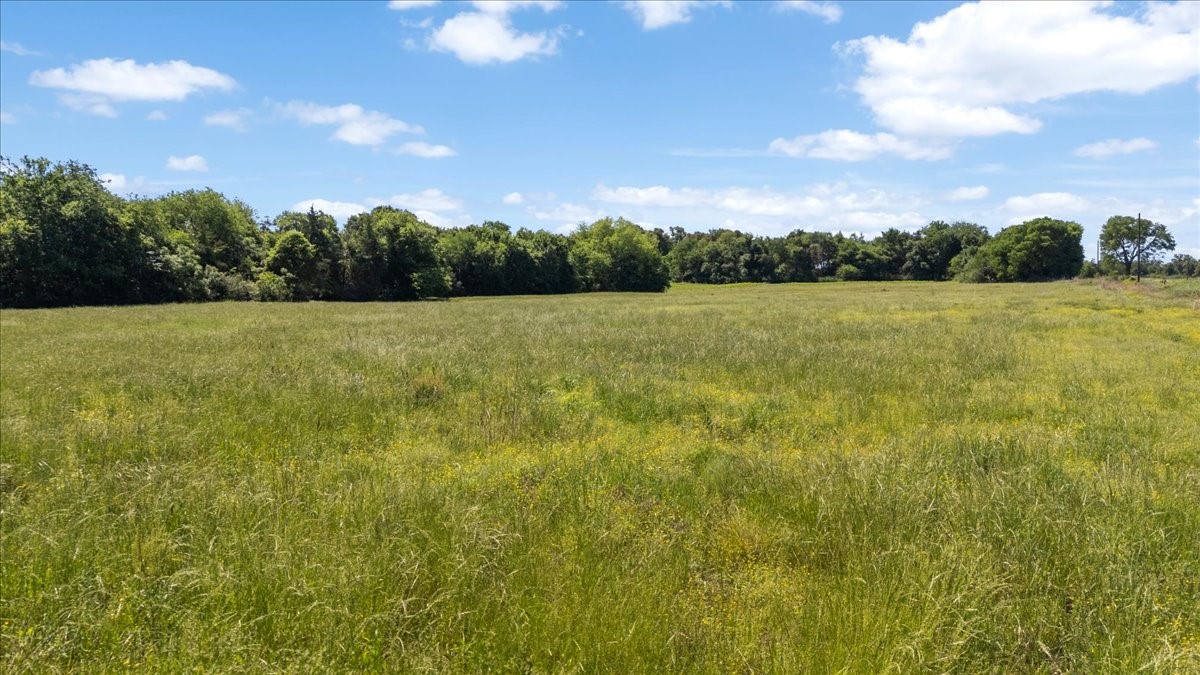 Tbd County Road 2395 Winnsboro TX 75494
