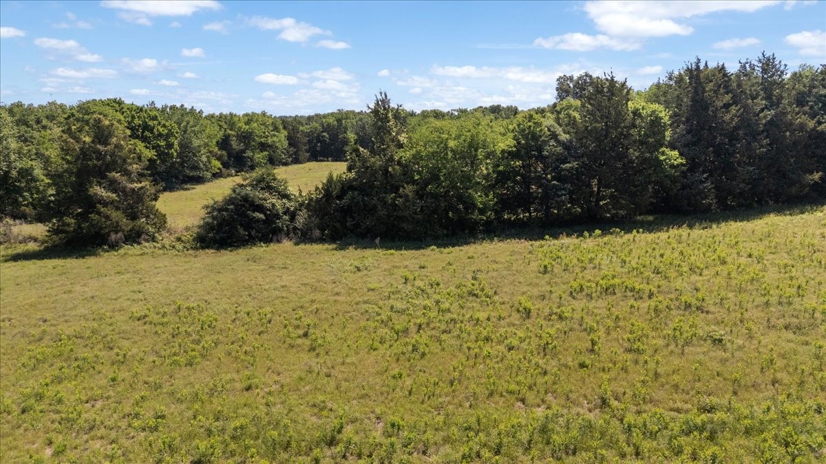 Tbd County Road 2395 Winnsboro TX 75494
