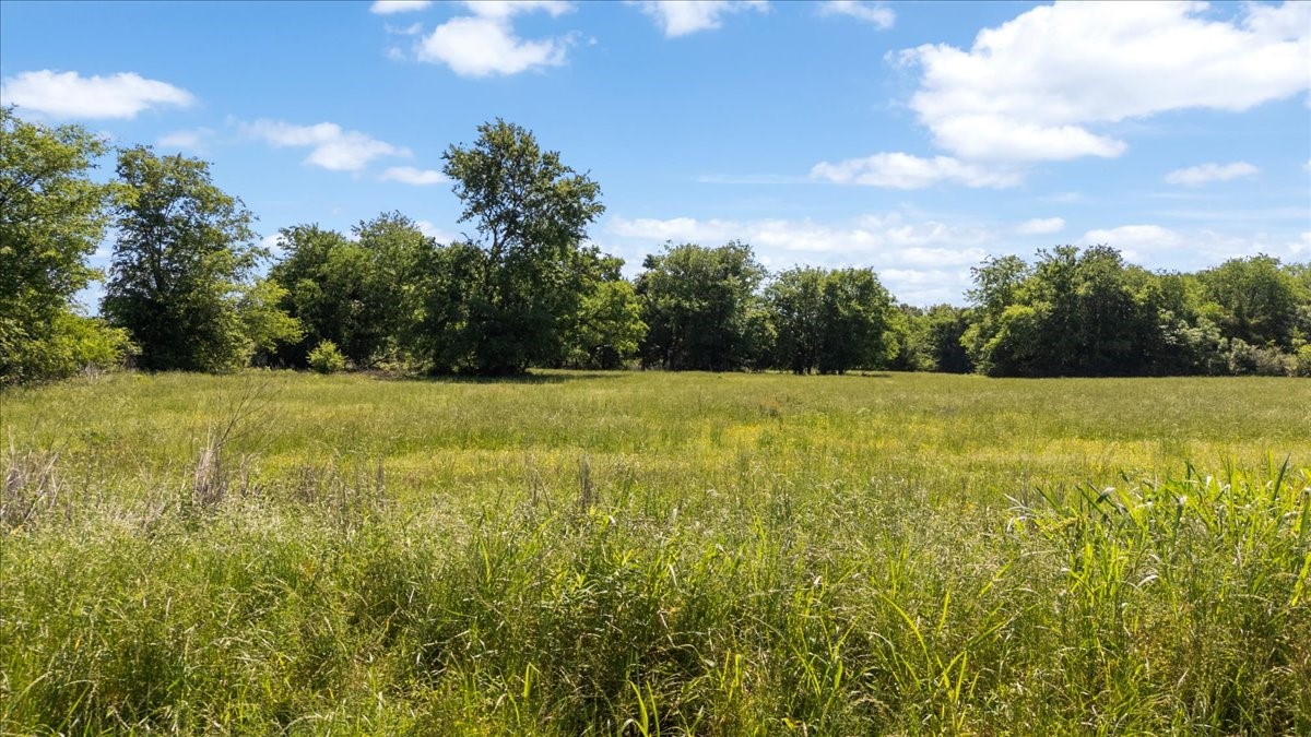 Tbd County Road 2395 Winnsboro TX 75494