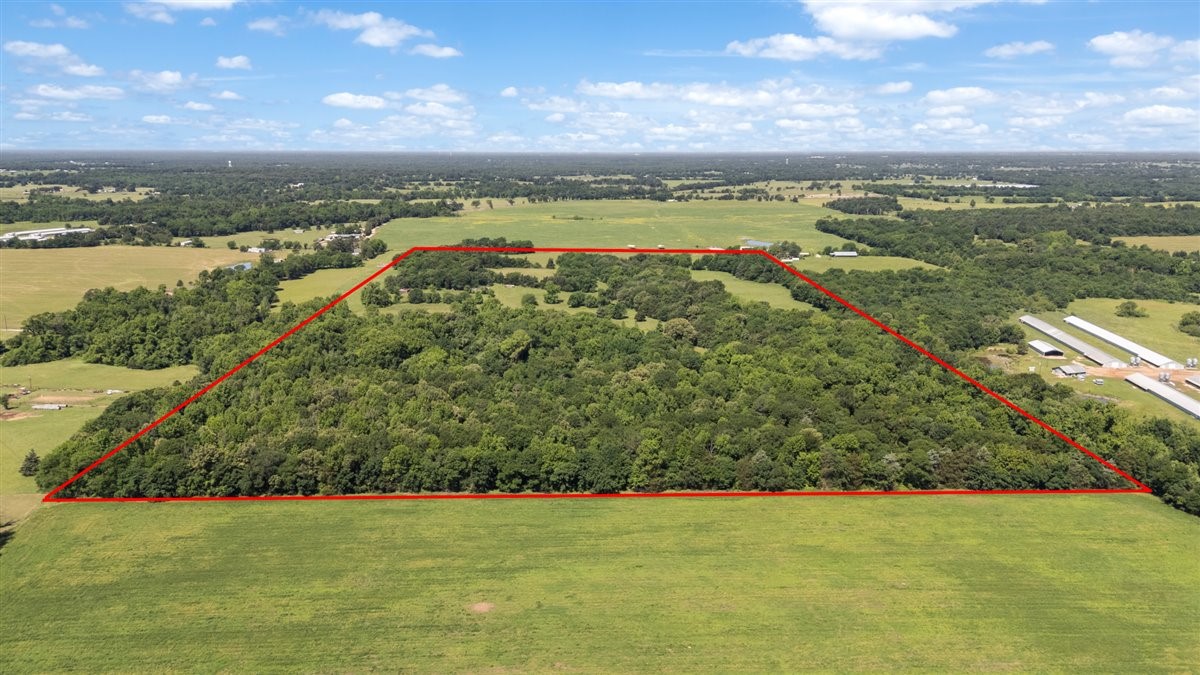 Tbd County Road 2395 Winnsboro TX 75494