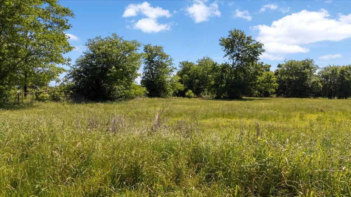 Tbd County Road 2395 Winnsboro TX 75494