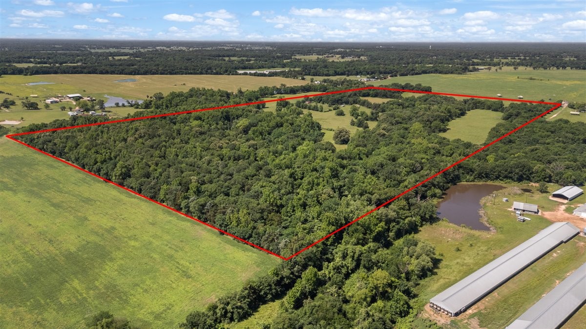 Tbd County Road 2395 Winnsboro TX 75494
