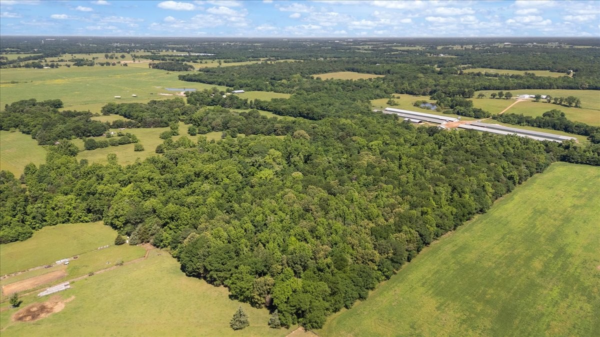 Tbd County Road 2395 Winnsboro TX 75494