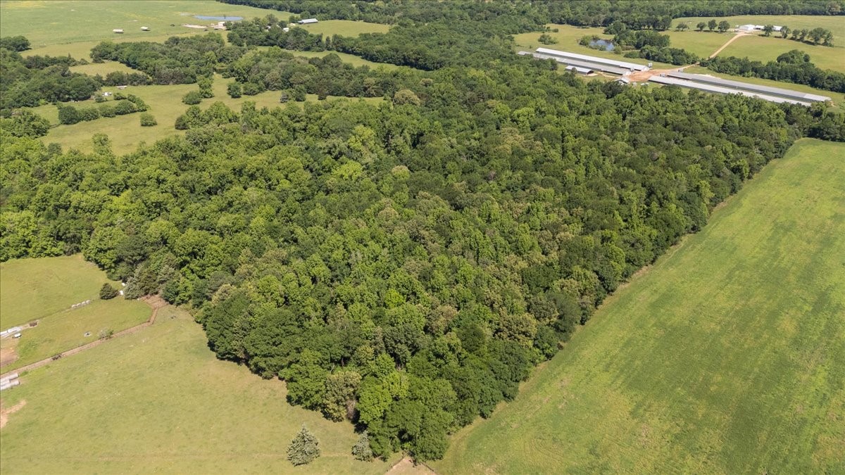 Tbd County Road 2395 Winnsboro TX 75494