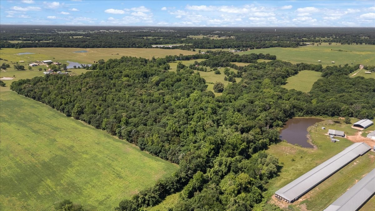 Tbd County Road 2395 Winnsboro TX 75494