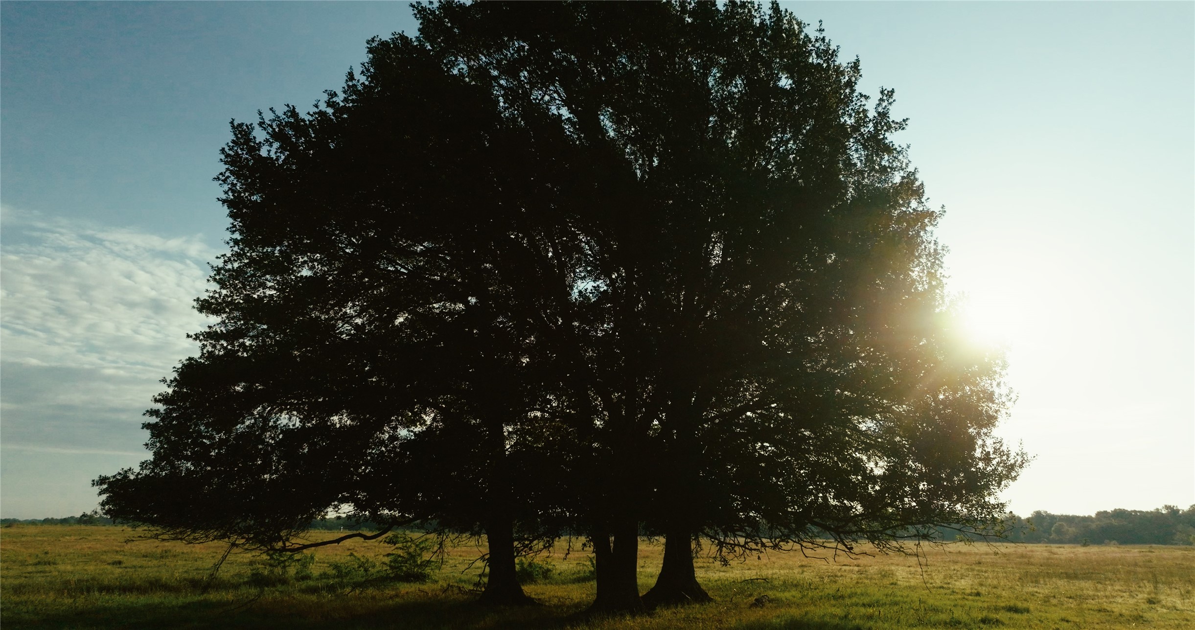 0000 County Road 3908 Wills Point TX 75169