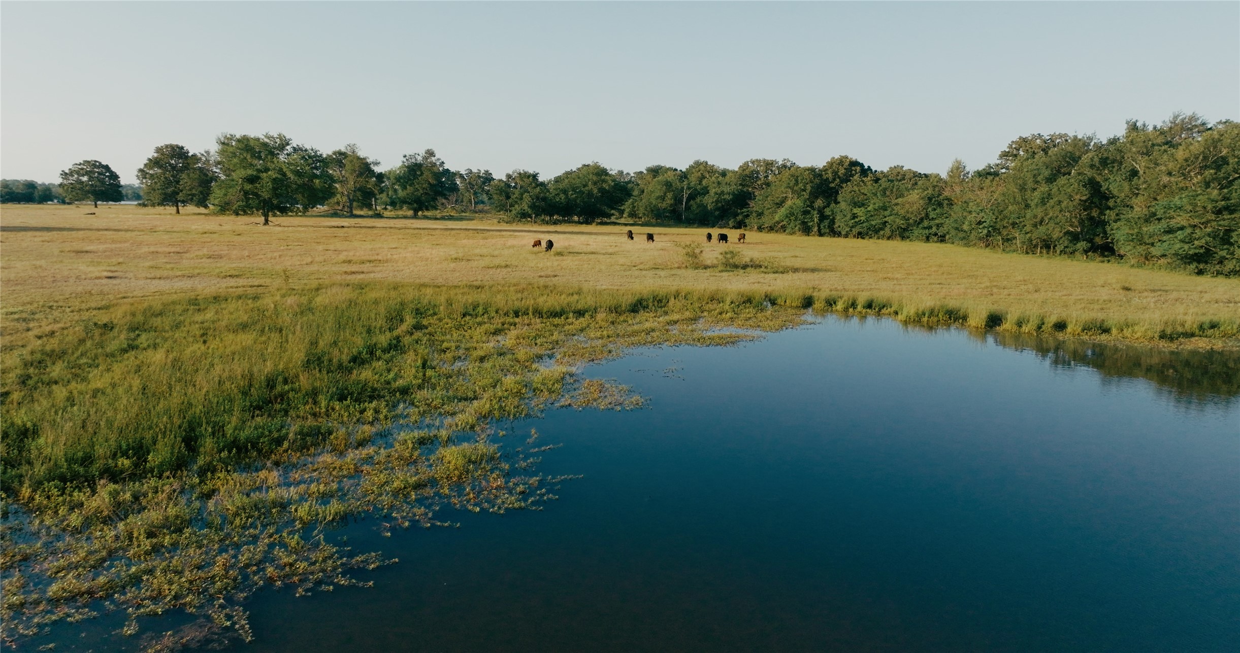 0000 County Road 3908 Wills Point TX 75169