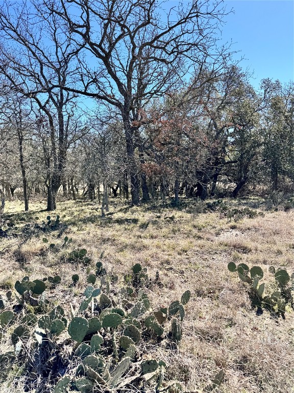 136 Red Oak Drive May TX 76857