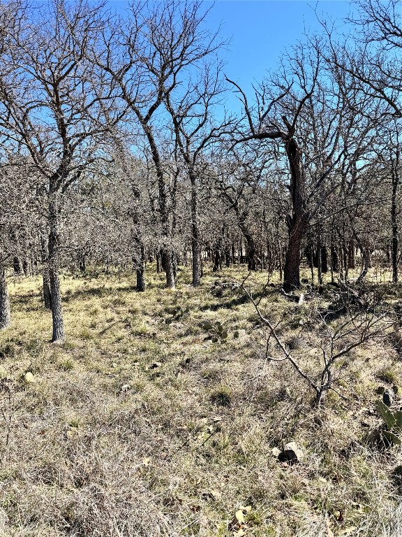 136 Red Oak Drive May TX 76857