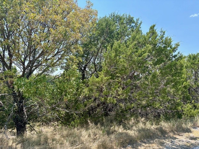 Lot 246 Broadmoor Court Possum Kingdom Lake TX 76449