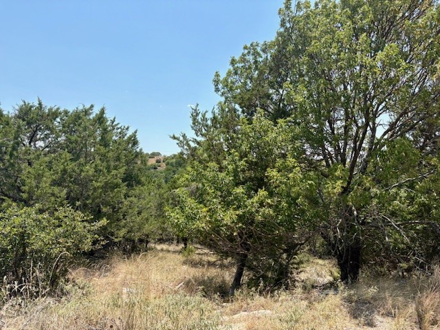 Lot 246 Broadmoor Court Possum Kingdom Lake TX 76449