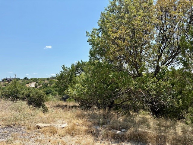Lot 246 Broadmoor Court Possum Kingdom Lake TX 76449