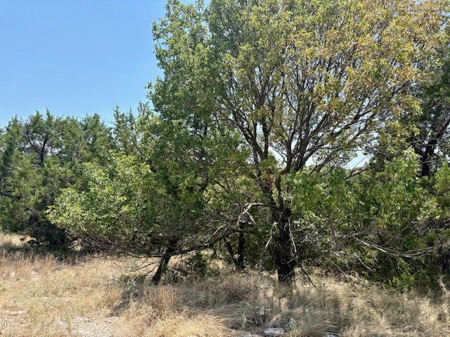 Lot 246 Broadmoor Court Possum Kingdom Lake TX 76449