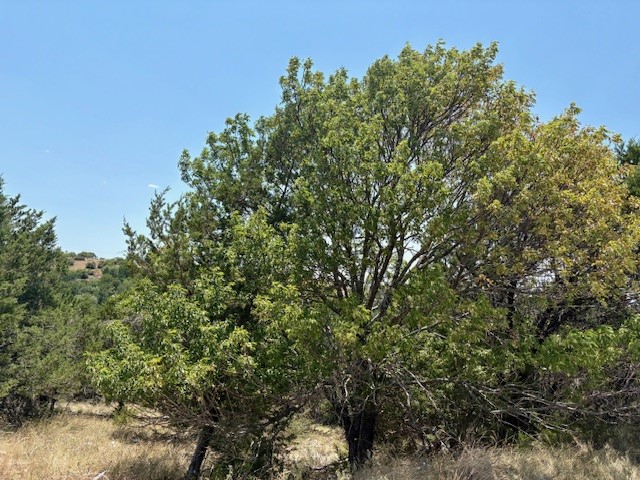 Lot 246 Broadmoor Court Possum Kingdom Lake TX 76449
