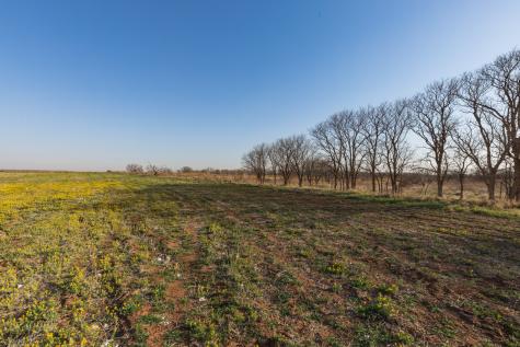 TBD Cr 262 McCaulley TX 79534