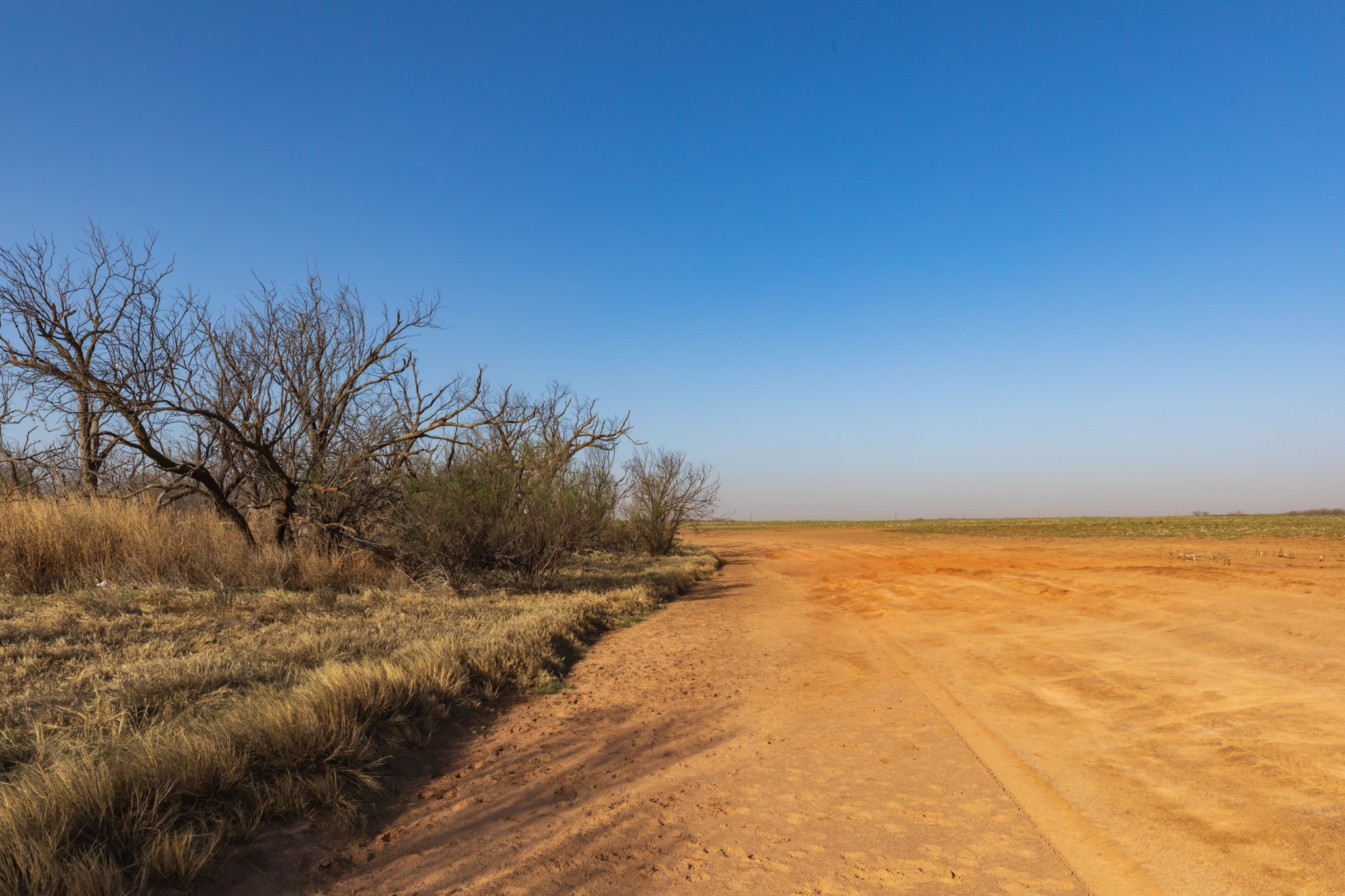 Tbd Cr 262 Mccaulley TX 79534