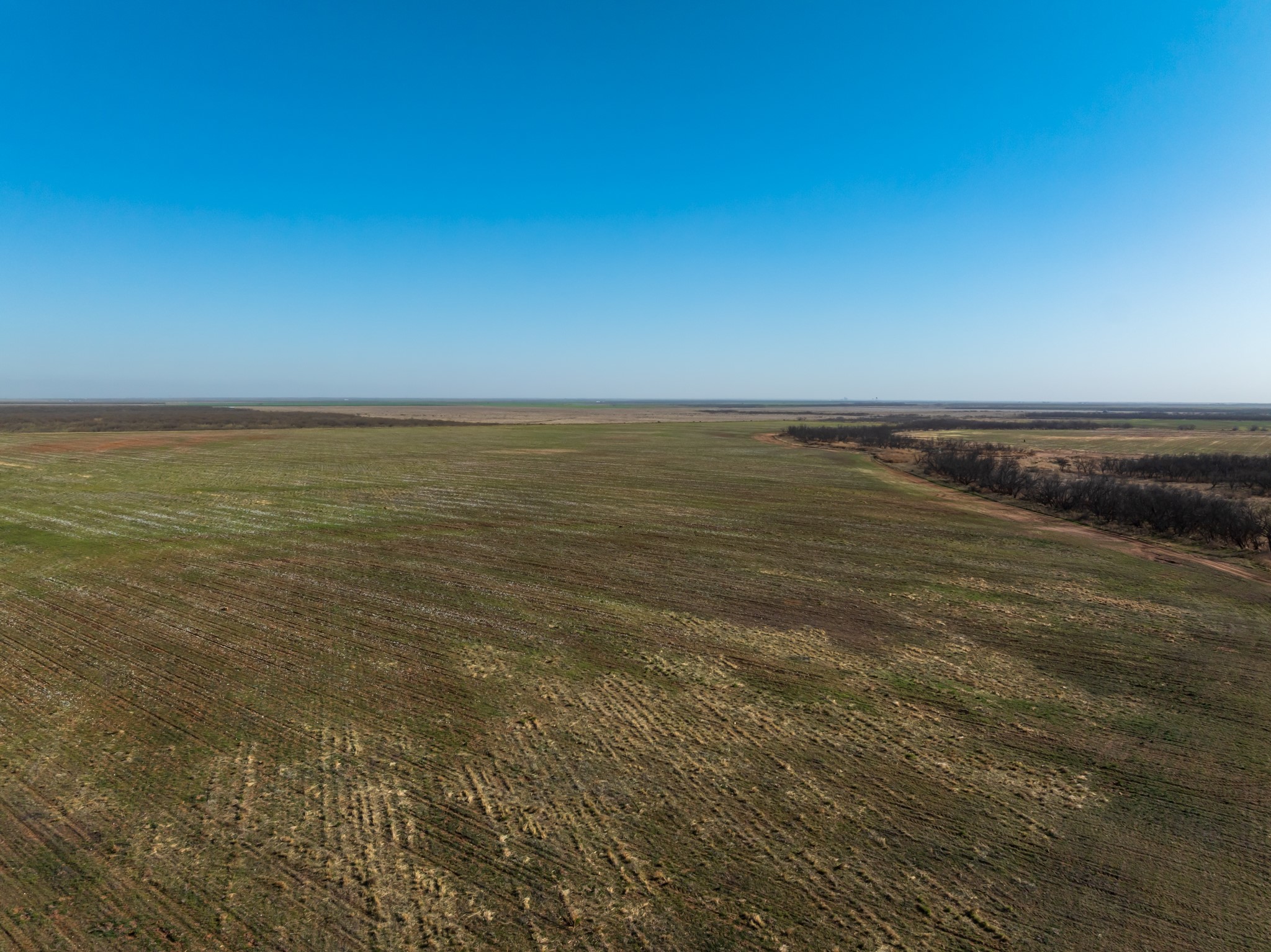 Tbd Cr 262 Mccaulley TX 79534