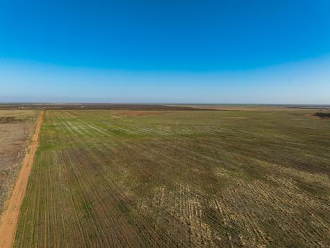 Tbd Cr 262 Mccaulley TX 79534