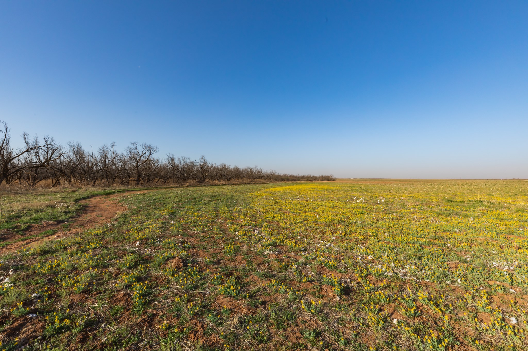 Tbd Cr 262 Mccaulley TX 79534