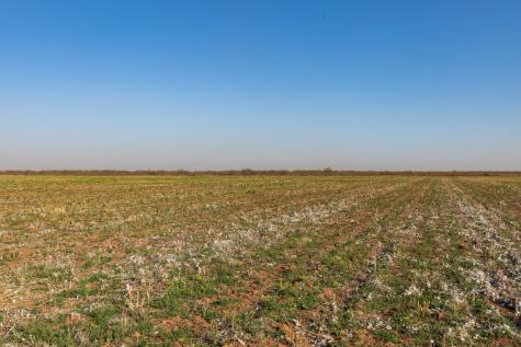 Tbd Cr 262 Mccaulley TX 79534