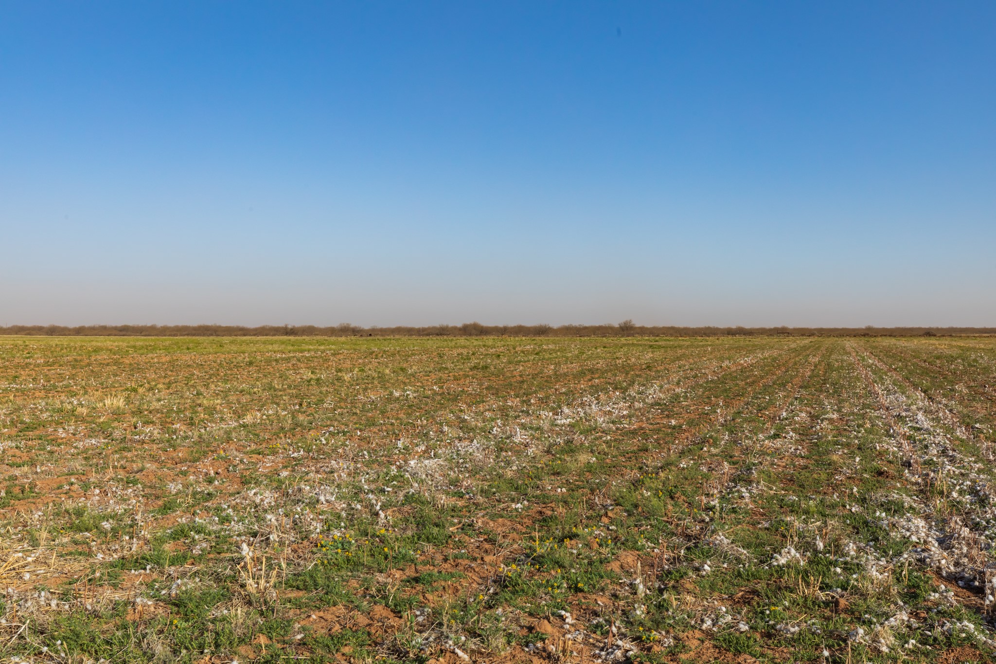 Tbd Cr 262 Mccaulley TX 79534