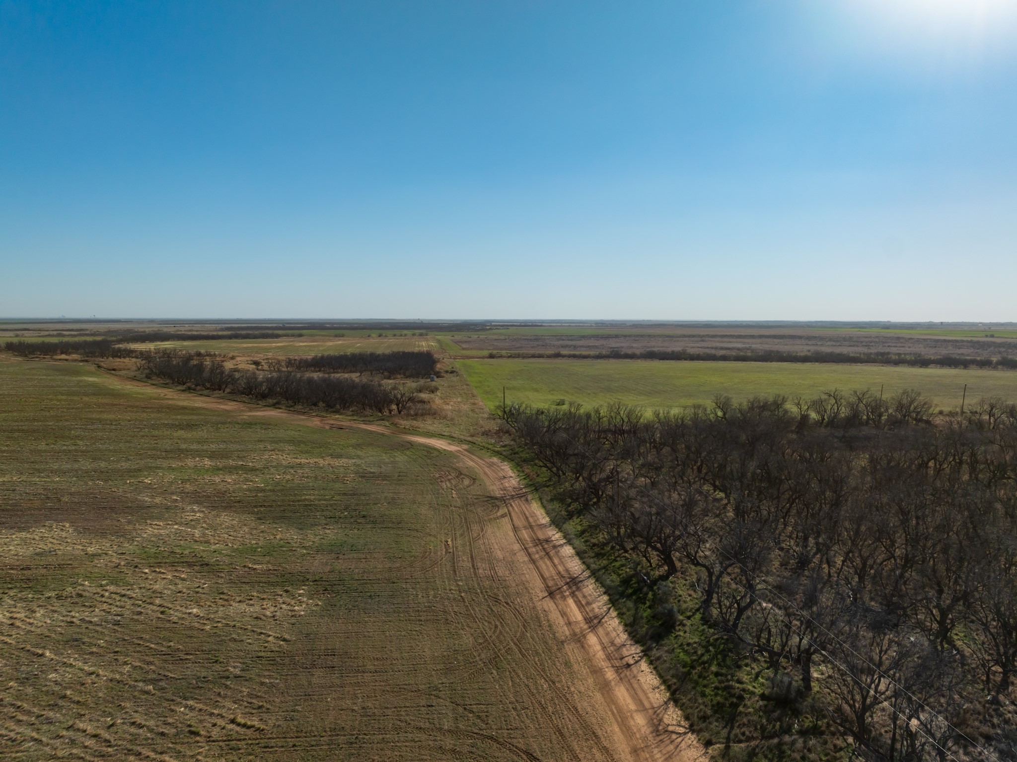 Tbd Cr 262 Mccaulley TX 79534