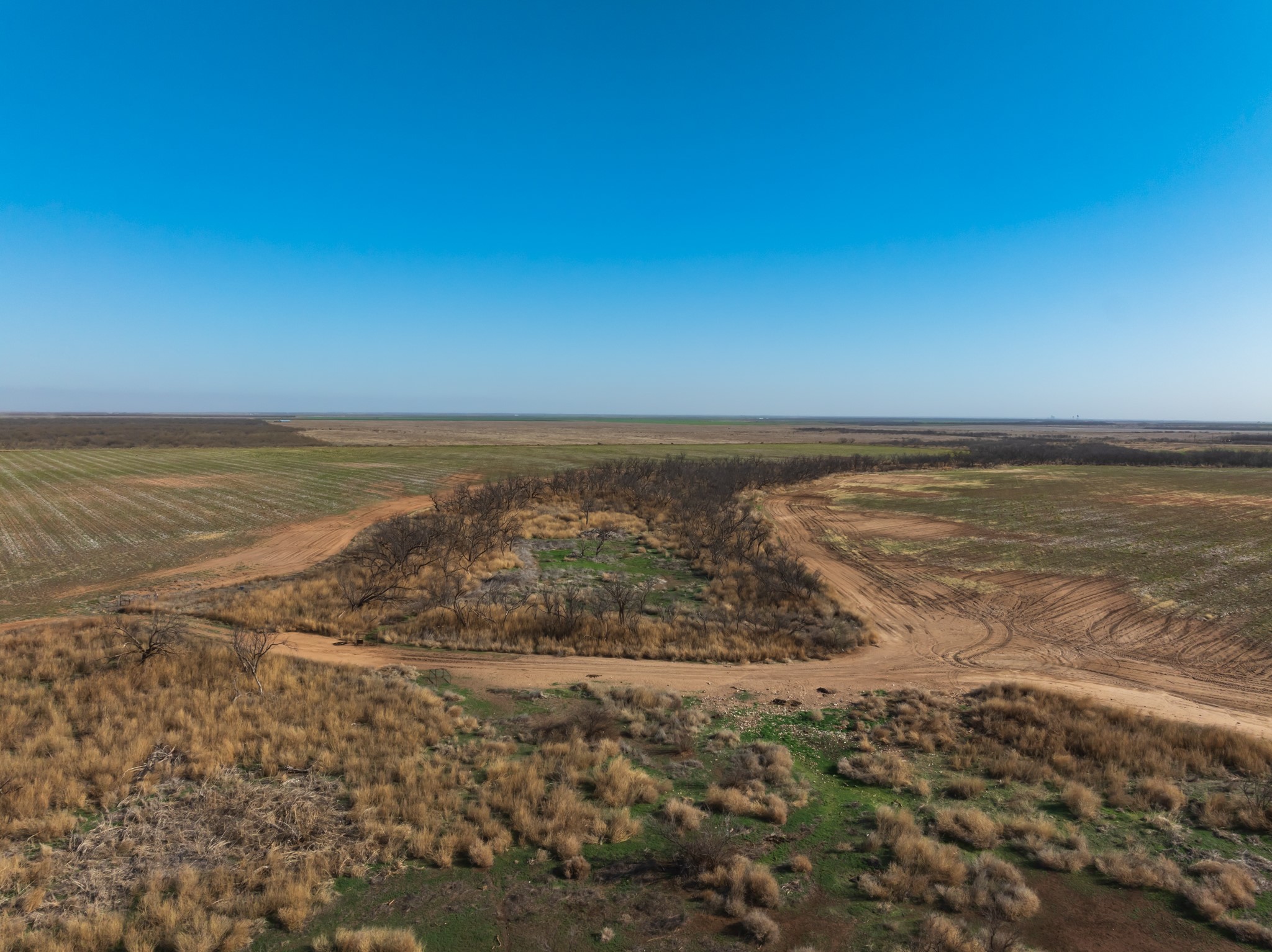 Tbd Cr 262 Mccaulley TX 79534