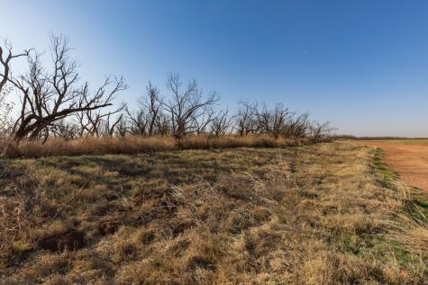 Tbd Cr 262 Mccaulley TX 79534