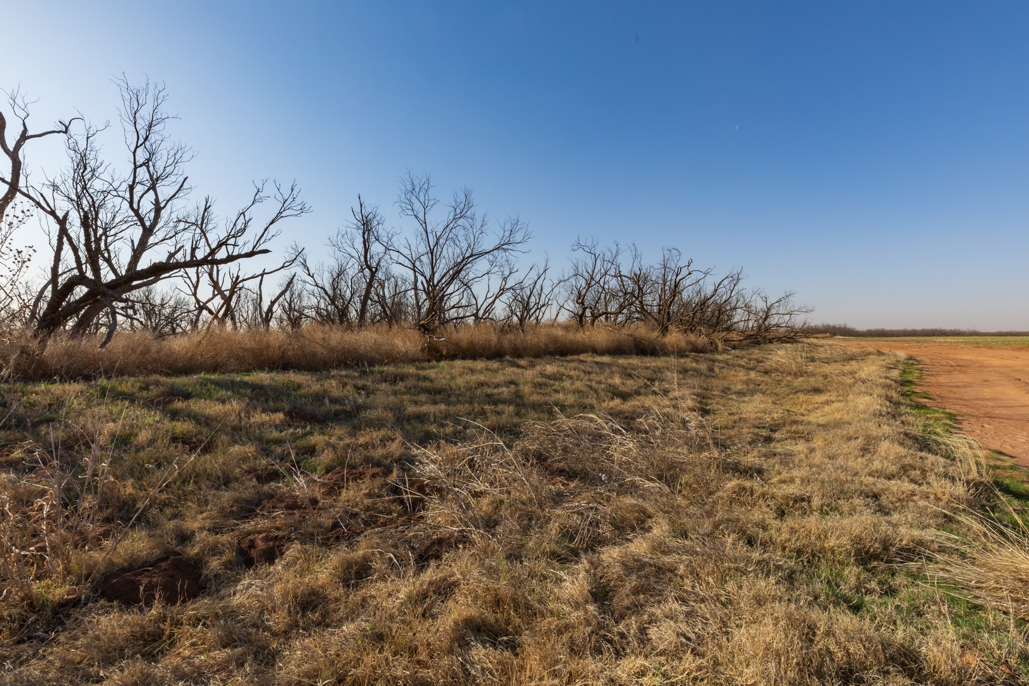 Tbd Cr 262 Mccaulley TX 79534