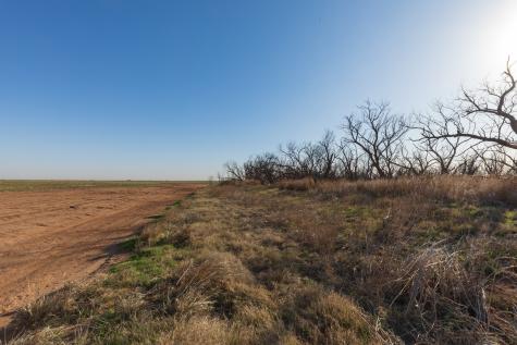 Tbd Cr 262 Mccaulley TX 79534