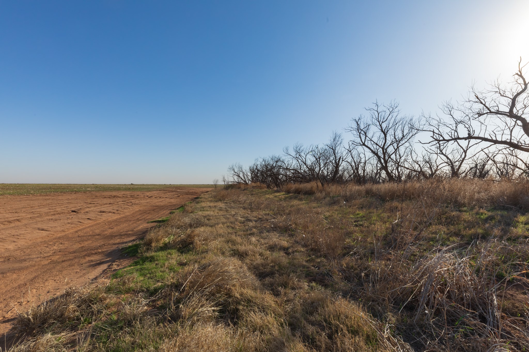 Tbd Cr 262 Mccaulley TX 79534