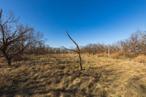 Tbd Cr 262 Mccaulley TX 79534