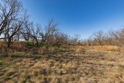 Tbd Cr 262 Mccaulley TX 79534