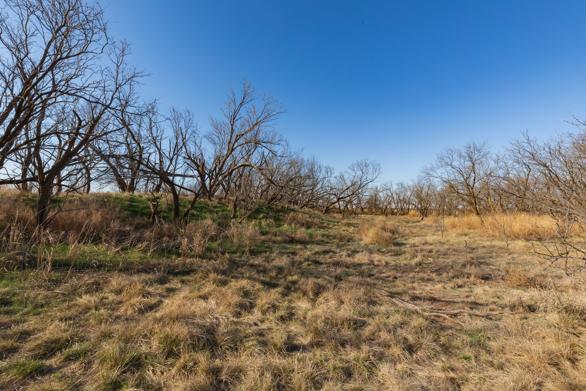 Tbd Cr 262 Mccaulley TX 79534
