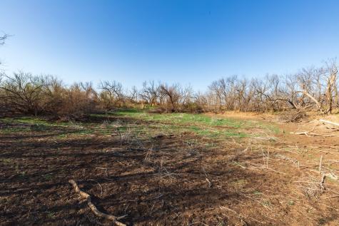 Tbd Cr 262 Mccaulley TX 79534