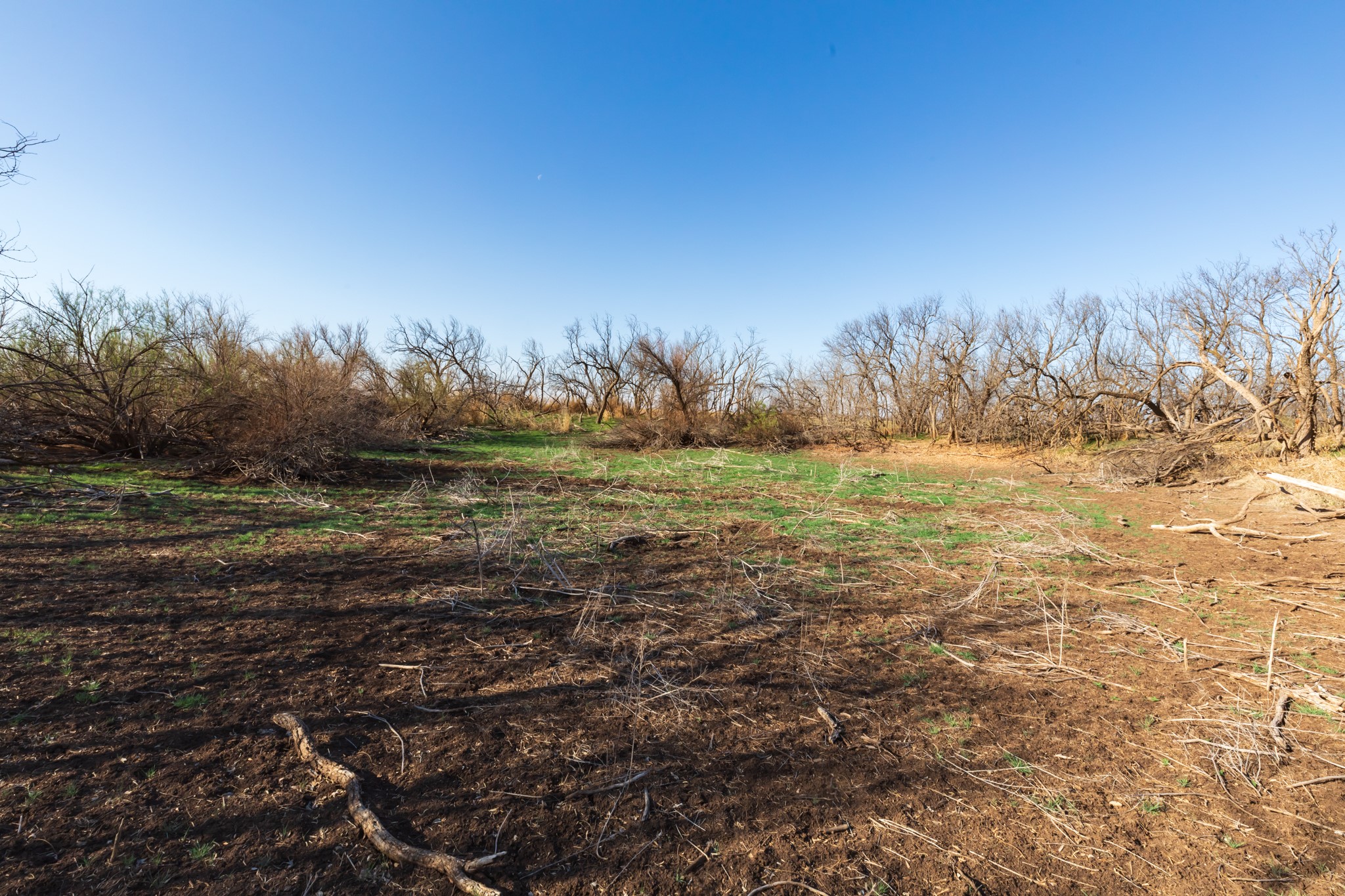 Tbd Cr 262 Mccaulley TX 79534